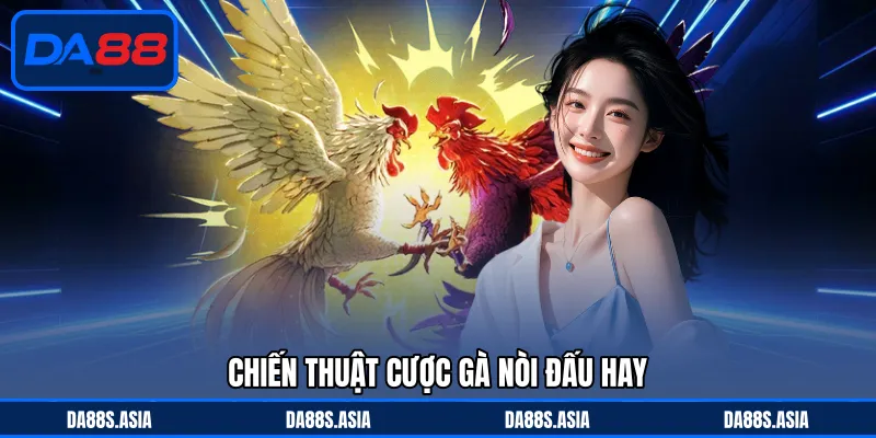 Chiến thuật cược gà nòi đấu hay