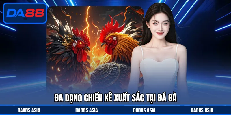 Đa dạng chiến kê xuất sắc tại đá gà 