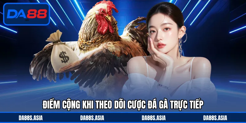 Điểm cộng khi theo dõi cược đá gà trực tiếp