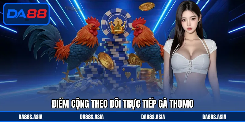 Điểm cộng theo dõi trực tiếp gà Thomo