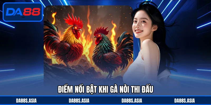 Điểm nổi bật khi gà nòi thi đấu
