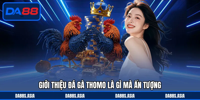 Giới thiệu đá gà Thomo là gì mà ấn tượng
