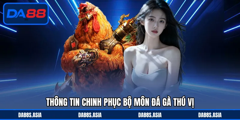 Thông tin chinh phục bộ môn đá gà thú vị